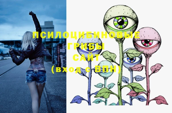 2c-b Осинники