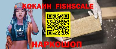 гашик Камышлов