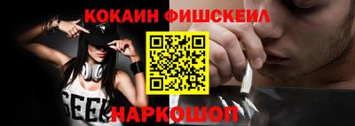 гашик Камышлов