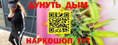 гашик Камышлов