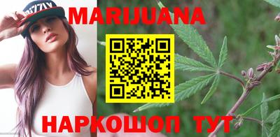 гашик Камышлов