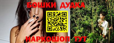 гашик Камышлов