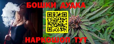 гашик Камышлов