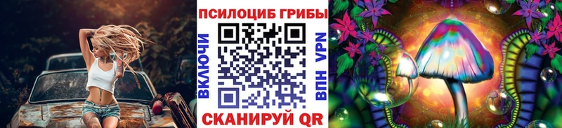 Галлюциногенные грибы Magic Shrooms  купить наркотики сайты  Междуреченск 