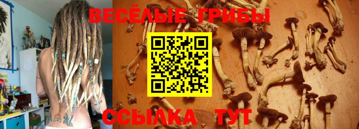 Псилоцибиновые грибы Magic Shrooms Междуреченск