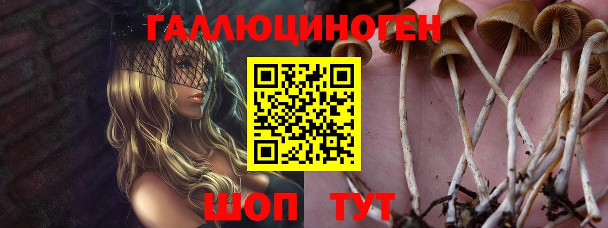 Междуреченск  Псилоцибиновые грибы Psilocybe  Псилоцибиновые грибы MAGIC MUSHROOMS  Вход с VPN 